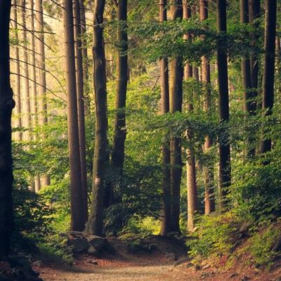 b体育官方下载入口