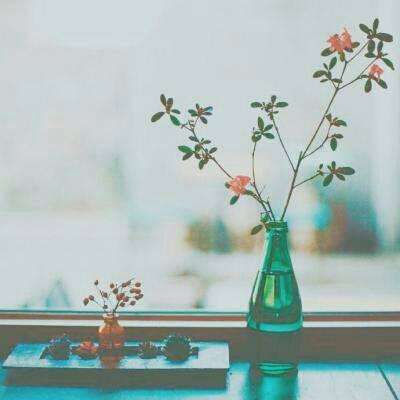 云开官方网站入口截图