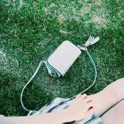 澳门王中王100%的资料