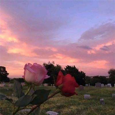 kaiyun体育全站app下载