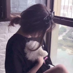 开云集团手机app下载